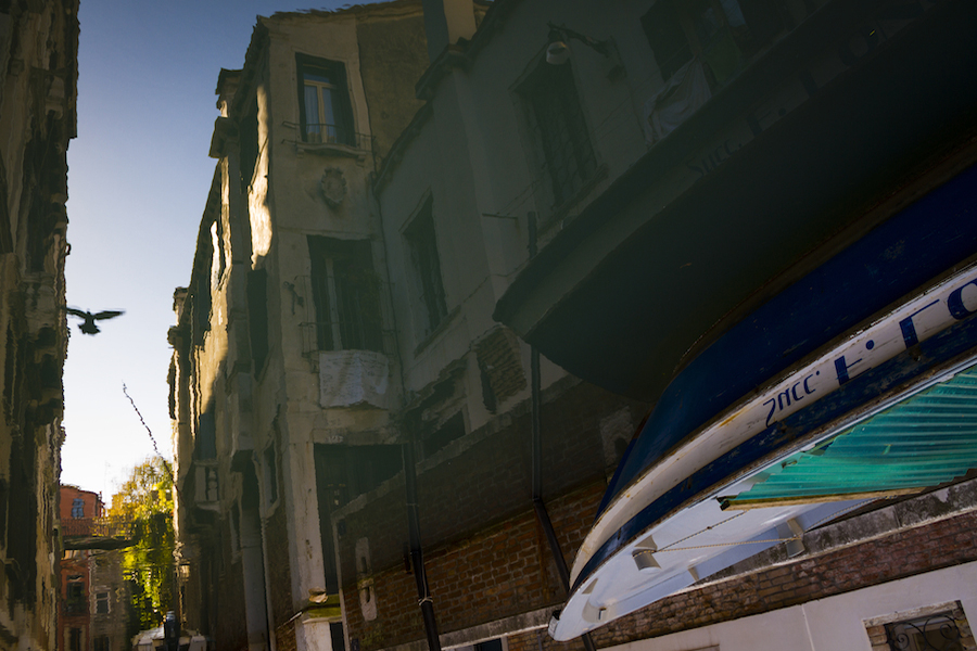 Reflections of a bird in Venice